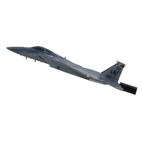 493 FS F-15C Custom Airplane Model Briefing Sticks - View 2