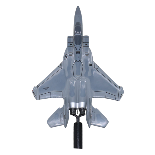 493 FS F-15C Custom Airplane Model Briefing Sticks - View 5