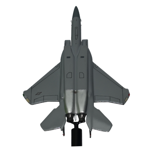 114 FS F-15C Eagle Custom Airplane Model Briefing Sticks - View 6