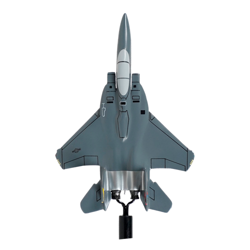 40 TES F-15E Strike Eagle Briefing Sticks - View 5