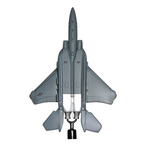 307 FS F-15E Strike Eagle Briefing Sticks - View 5
