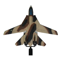 Iranian Air Force F-14 Tomcat Briefing Sticks - View 4