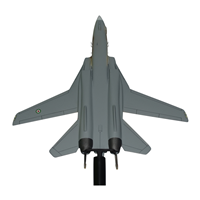 Iranian Air Force F-14 Tomcat Briefing Sticks - View 5