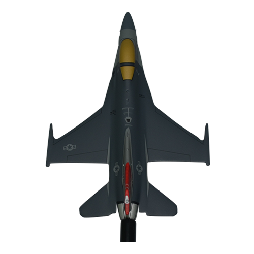 100 FS F-16C Fighting Falcon Briefing Sticks - View 4