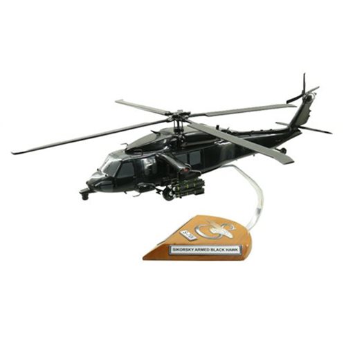 Sikorsky S-70 Armed Blackhawk Custom Helicopter Model