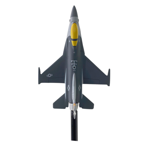 195 FS F-16C Fighting Falcon Briefing Sticks - View 5