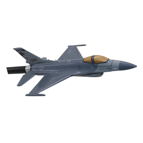 175 FS F-16C Fighting Falcon Briefing Sticks - View 4