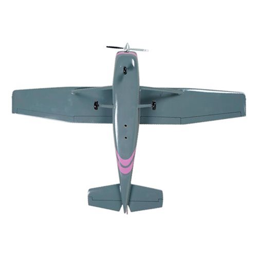 Cessna 172 Custom Aircraft Model - View 8