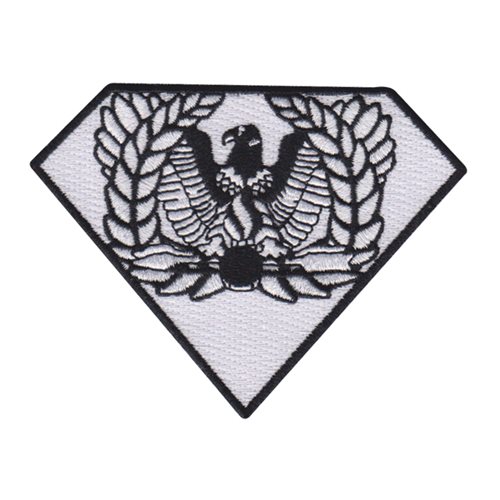 Ordnance Corps Bomb Patch