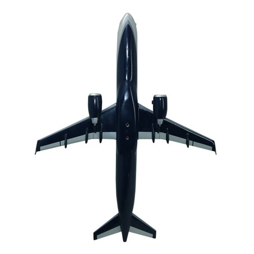 Embraer Phenom 100 Custom Airplane Model  - View 7