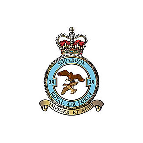 (No. 29 Squadron Royal Air Force Typhoon) Airplane Briefing Stick