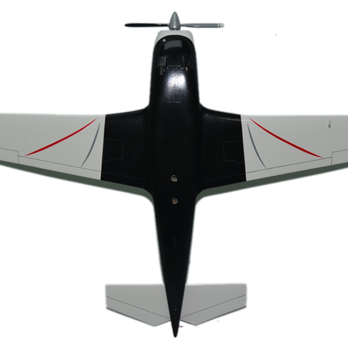 Mooney M20E Custom Aircraft Model - View 10