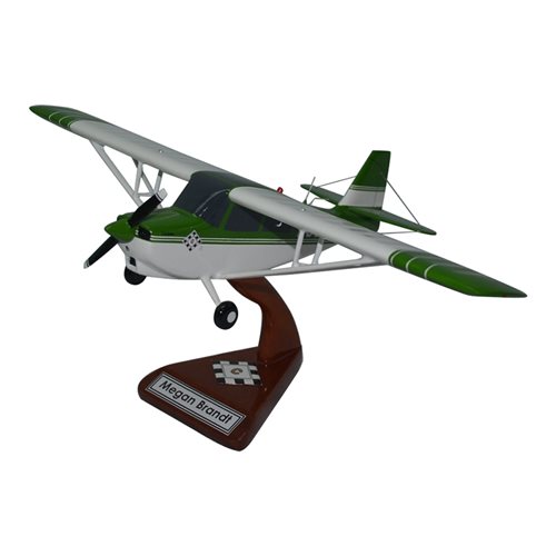 Design Your Own Miniature Size Airplane Model - View 9