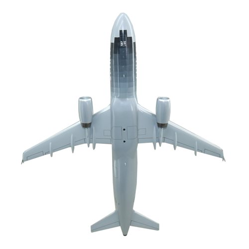 Spirit Airlines A321-200 Custom Aircraft Model - View 7
