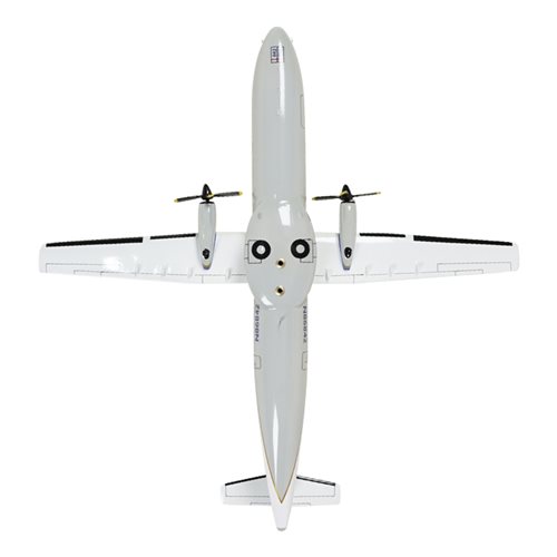 Continental Express ATR 42-320 Custom Aircraft Model - View 7