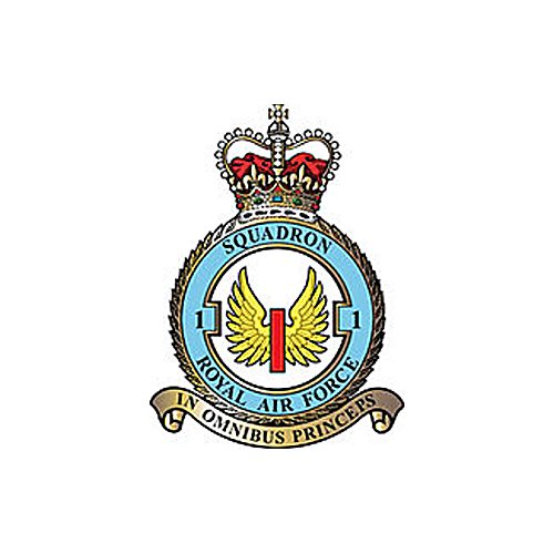 (No.1 Squadron Royal Air Force Typhoon) Airplane Briefing Stick