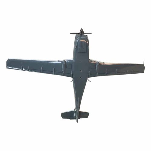 Diamond DA50 Custom Aircraft Model - View 7
