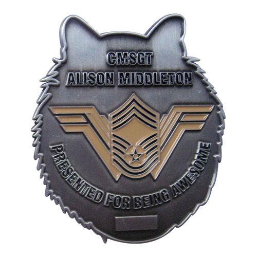 7 IS CMSgt Challenge Coin - View 2