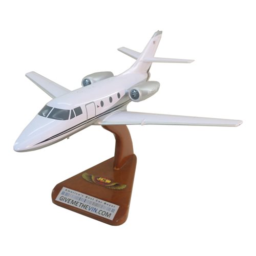 Falcon 100 Custom Airplane Model