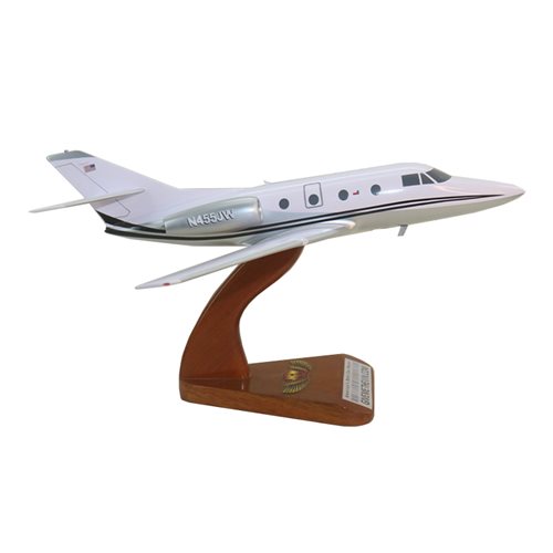 Falcon 100 Custom Airplane Model - View 5