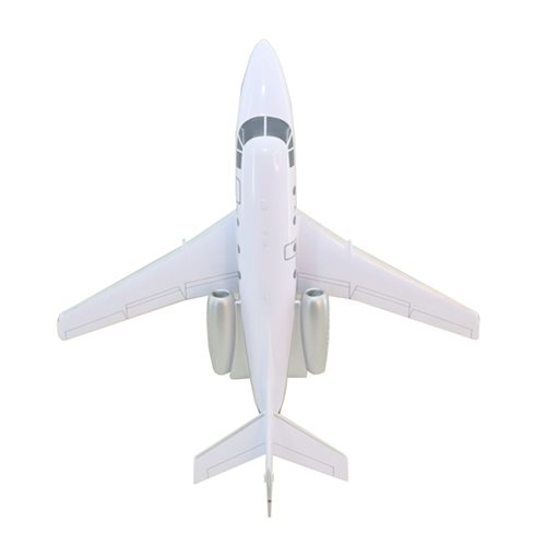 Falcon 100 Custom Airplane Model - View 6