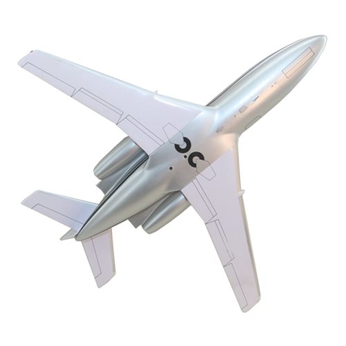 Falcon 100 Custom Airplane Model - View 7