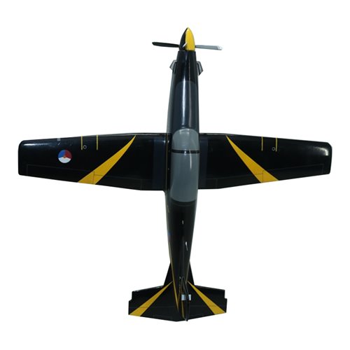 Design Your Own Pilatus PC-7 Custom Airplane Model - View 6