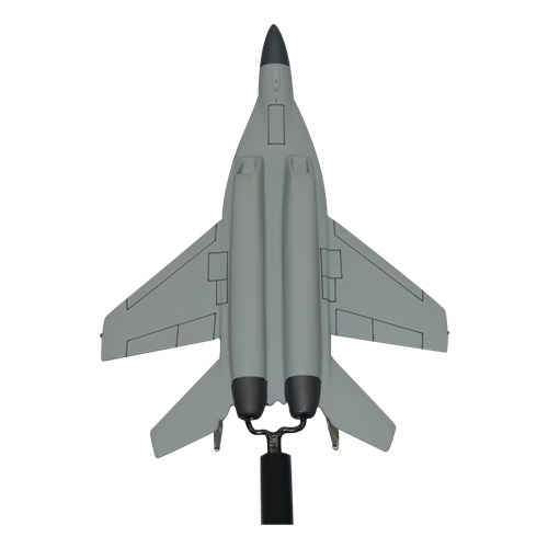 Iraqi Air Force MiG-29 Fulcrum Custom Airplane Model Briefing Sticks  - View 5