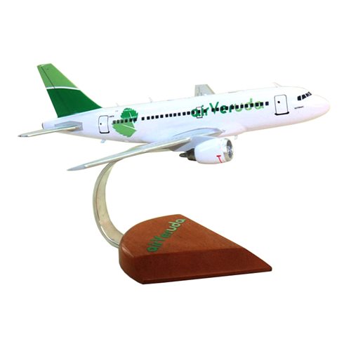 Airbus A319 Neo Custom Aircraft Model - View 5