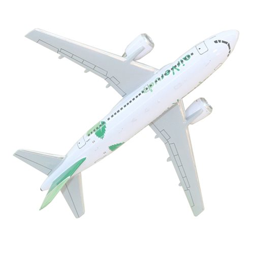 Airbus A319 Neo Custom Aircraft Model - View 6