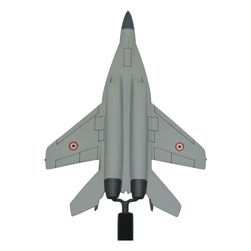 Syrian Air Force MiG-29 Fulcrum Custom Airplane Model Briefing Sticks - View 5