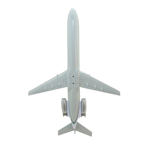 McDonnell Douglas DC-9 Custom Aircraft Model - View 8
