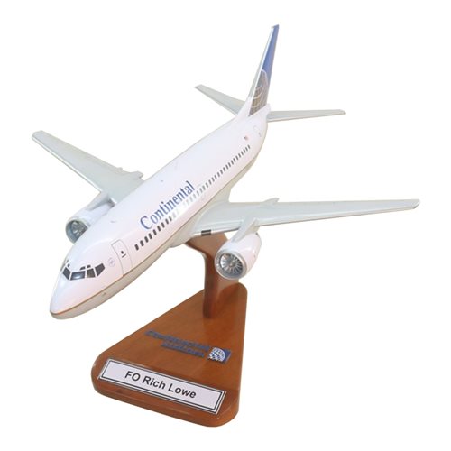 B737-300 Custom Airplane Model 