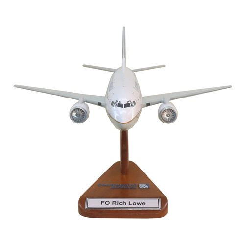 B737-300 Custom Airplane Model  - View 3