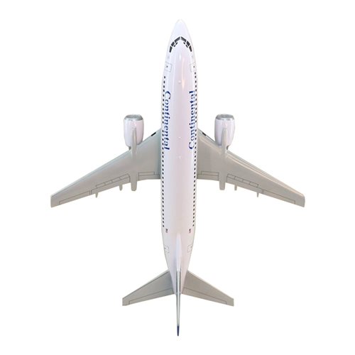 B737-300 Custom Airplane Model  - View 6