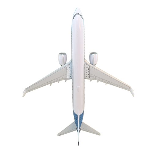 Boeing 737 MAX 10 Custom Airplane Model  - View 6