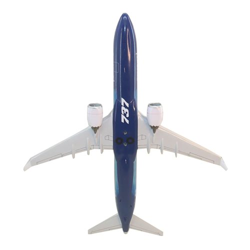 Boeing 737 MAX 10 Custom Airplane Model  - View 7