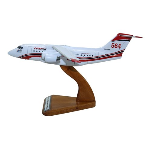 Northwest Airlink BAe 146 Avro RJ Custom Aircraft Model - View 2