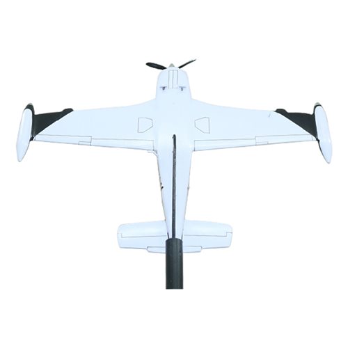 A36 Beechcraft Custom Airplane Model Briefing Stick - View 6