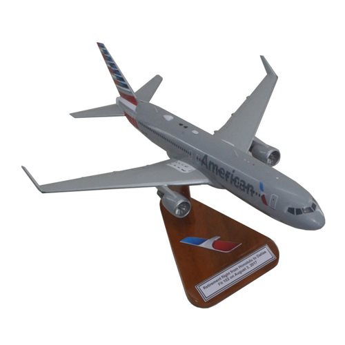 American Airlines Boeing 767-300ER Custom Airplane Model  - View 4