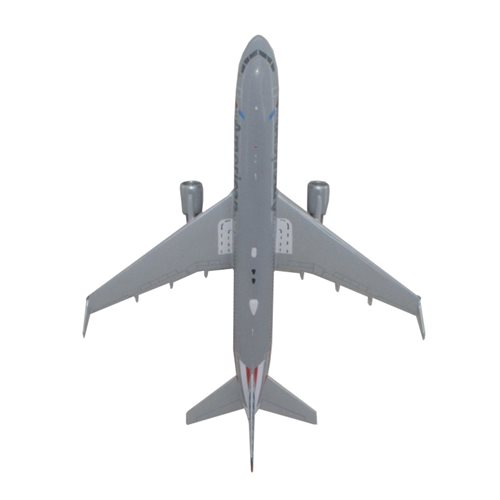 American Airlines Boeing 767-300ER Custom Airplane Model  - View 6