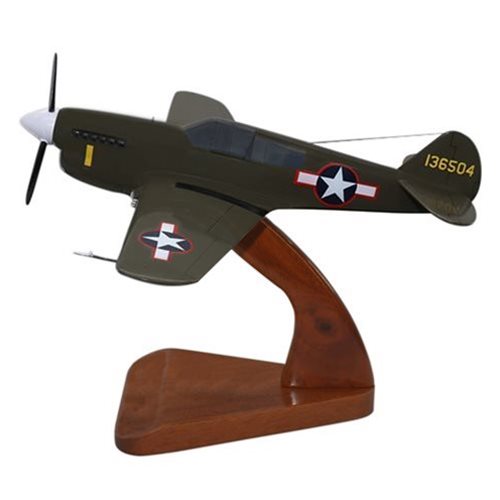Design Your Own P-40 Warhawk Custom Aircraft Model - View 2