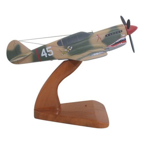 Design Your Own P-40 Warhawk Custom Aircraft Model - View 4