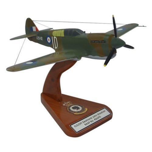 Design Your Own P-40 Warhawk Custom Aircraft Model - View 5