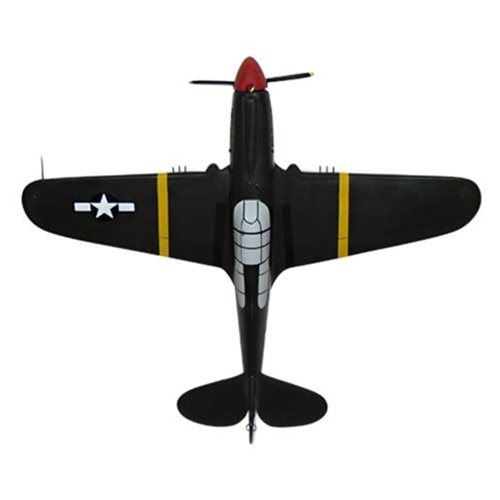 Design Your Own P-40 Warhawk Custom Aircraft Model - View 6