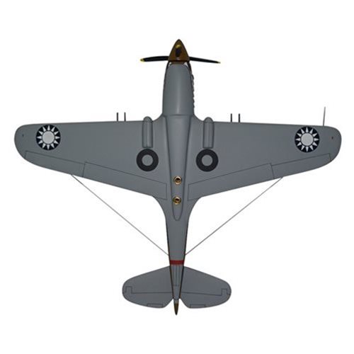 Design Your Own P-40 Warhawk Custom Aircraft Model - View 7