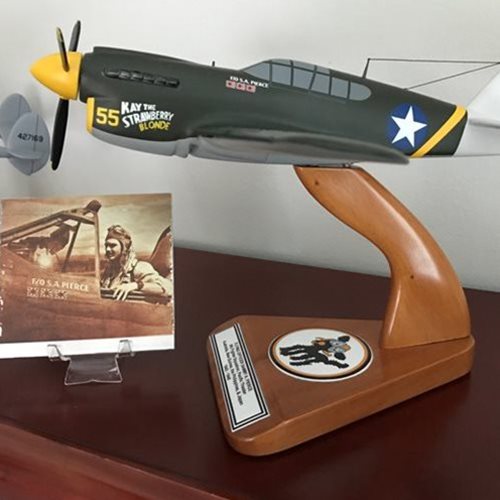 Design Your Own P-40 Warhawk Custom Aircraft Model - View 8