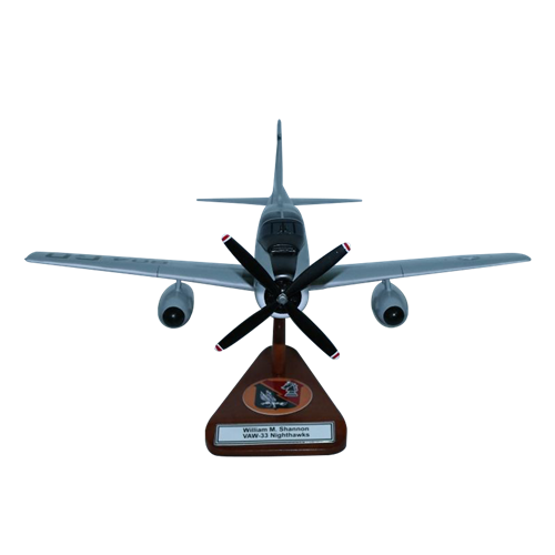 AD-5 Skyraider Custom Aircraft Model  - View 3