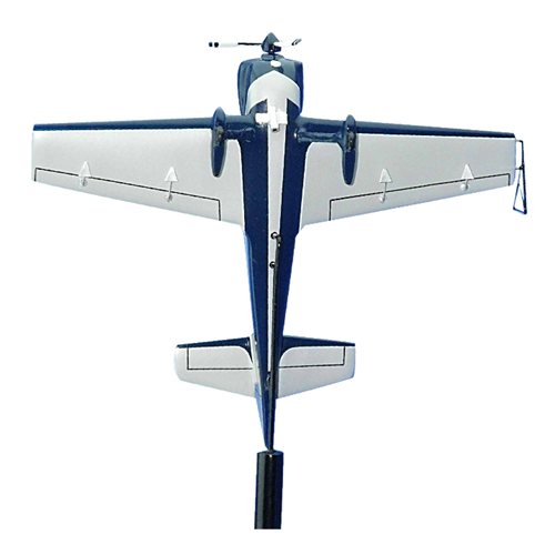 CAP 232 Custom Airplane Model Briefing Sticks - View 3