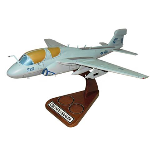 Design Your Own EA-6B Prowler Custom Aircraft Model